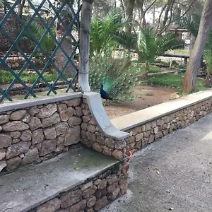16 , Porto Santo Portugal